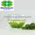 Natural Fiveleaf Jiaogulan Herb towing bridle Tea